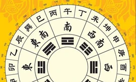 Ảnh minh hoạ: Internet