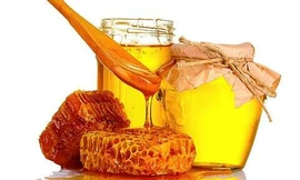 Ảnh minh hoạ: Internet