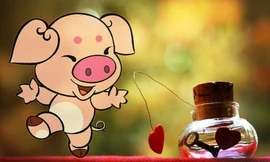 Ảnh minh họa: Internet