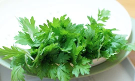 Ảnh minh họa: Internet