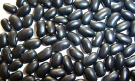 Ảnh minh hoạ: Internet