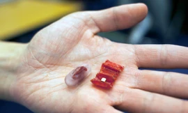 Ảnh minh hoạ: Internet