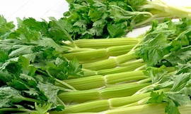 Ảnh minh hoạ: Internet