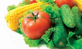 Ảnh minh họa: Internet