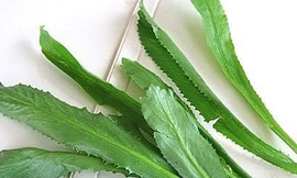 Ảnh minh hoạ: Internet