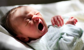 Ảnh minh họa: Internet