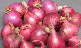 Ảnh minh hoạ: Internet