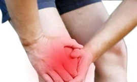 Ảnh minh hoạ: Internet