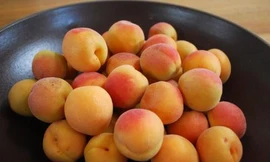 Ảnh minh họa: Internet