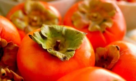 Ảnh minh hoạ: Internet