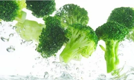 Ảnh minh hoạ: Internet