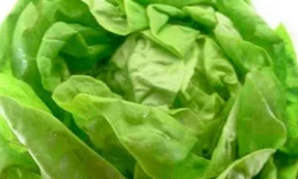 Ảnh minh hoạ: Internet