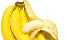 Ảnh minh hoạ: Internet