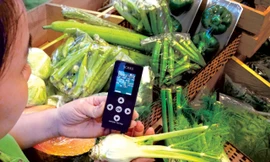 Ảnh minh hoạ: Internet