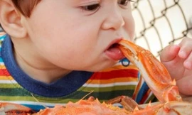 Ảnh minh hoạ: Internet