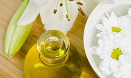 Ảnh minh họa: Internet