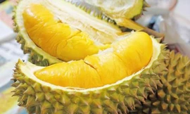 Ảnh minh hoạ: Internet