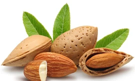 Ảnh minh hoạ: Internet