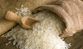 Ảnh minh hoạ: Internet