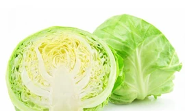 Ảnh minh hoạ: Internet