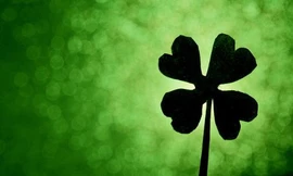 Ảnh minh hoạ: Internet