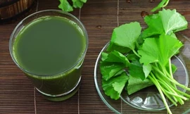 Ảnh minh hoạ: Internet