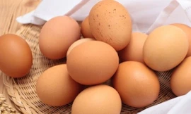 Ảnh minh hoạ: Internet