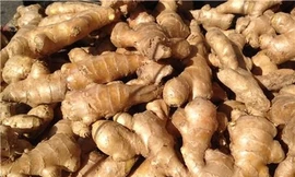 Ảnh minh hoạ: Internet