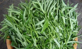 Ảnh minh hoạ: Internet