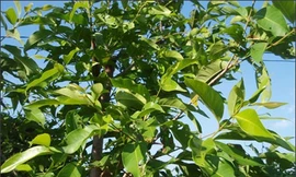 Ảnh minh hoạ: Internet