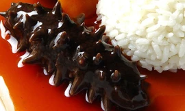 Ảnh minh họa: Internet