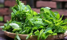 Ảnh minh hoạ: Internet