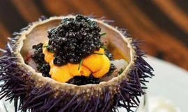 Ảnh minh họa: Internet