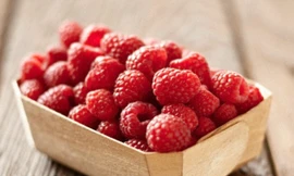 Ảnh minh hoạ: Internet