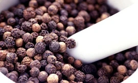 Ảnh minh hoạ: Internet