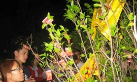 Ảnh minh họa: Internet