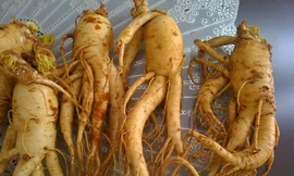 Ảnh minh hoạ: Internet