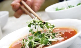 Ảnh minh hoạ: Internet