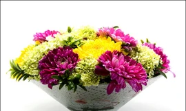 Ảnh minh hoạ: Internet