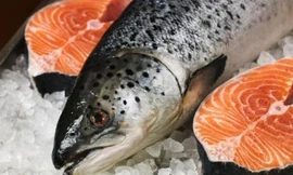 Ảnh minh hoạ: Internet