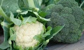 Ảnh minh hoạ: Internet