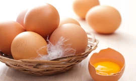 Ảnh minh hoạ: Internet