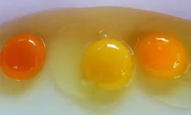 Ảnh minh hoạ: Internet