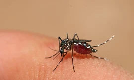 Ảnh minh hoạ: Internet