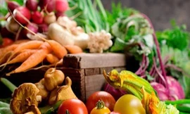 Ảnh minh hoạ: Internet