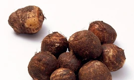 Ảnh minh hoạ: Internet