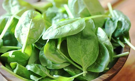 Ảnh minh hoạ: Internet