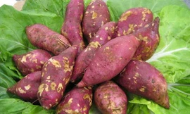 Ảnh minh hoạ: Internet