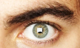 Ảnh minh hoạ: Internet