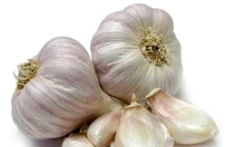 Ảnh minh hoạ: Internet